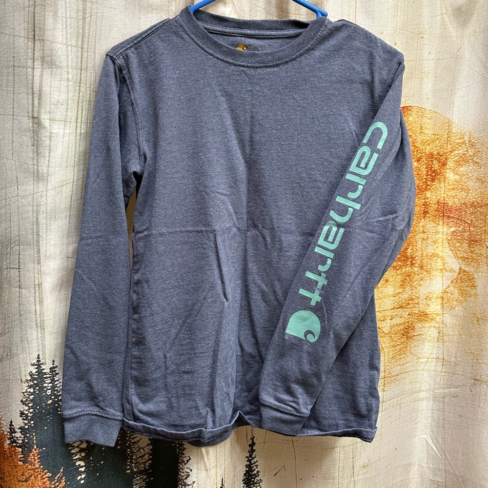 Carhartt Long Sleeve Graphic Tee in Slate Blue